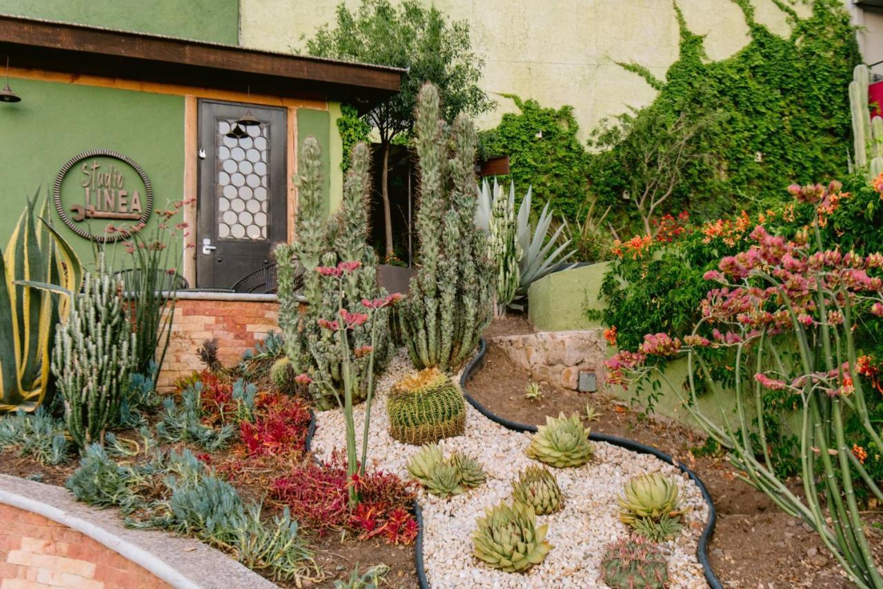 Terra Vista Lejlighedshotel Guanajuato Eksteriør billede