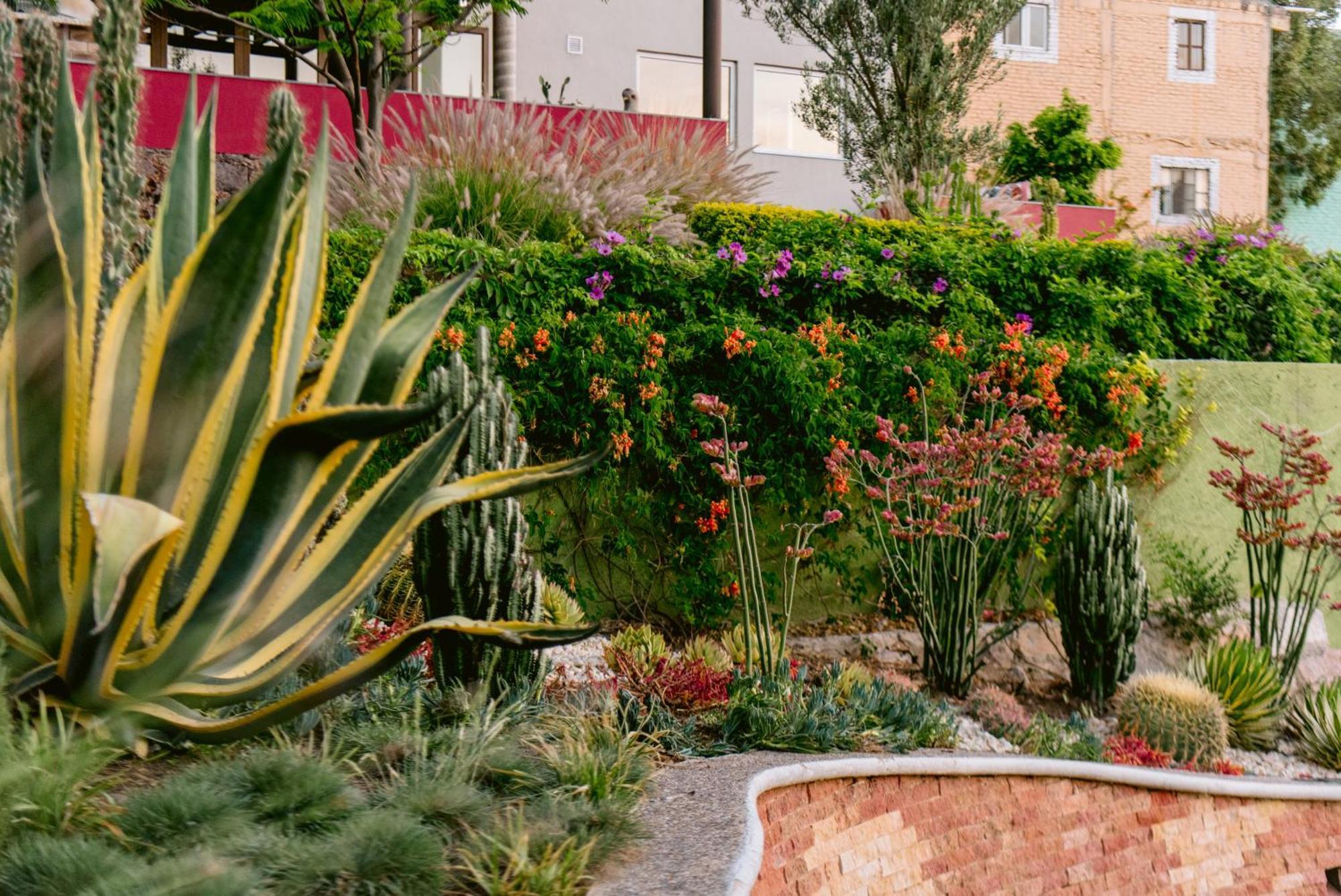 Terra Vista Lejlighedshotel Guanajuato Eksteriør billede
